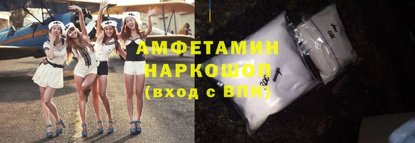 твердый Бородино