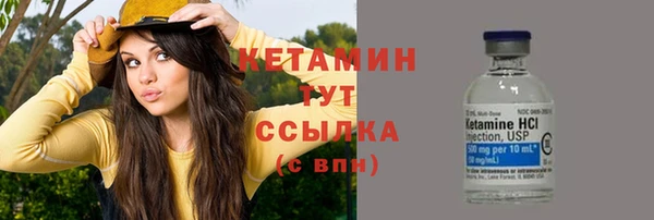 твердый Бородино