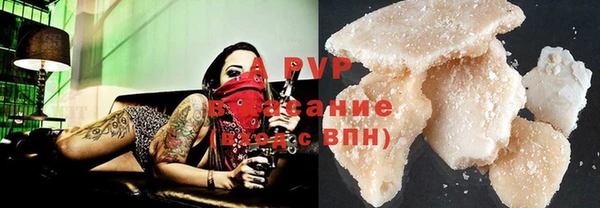 твердый Бородино