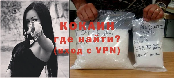 твердый Бородино